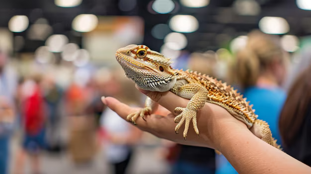 Reptile Expo